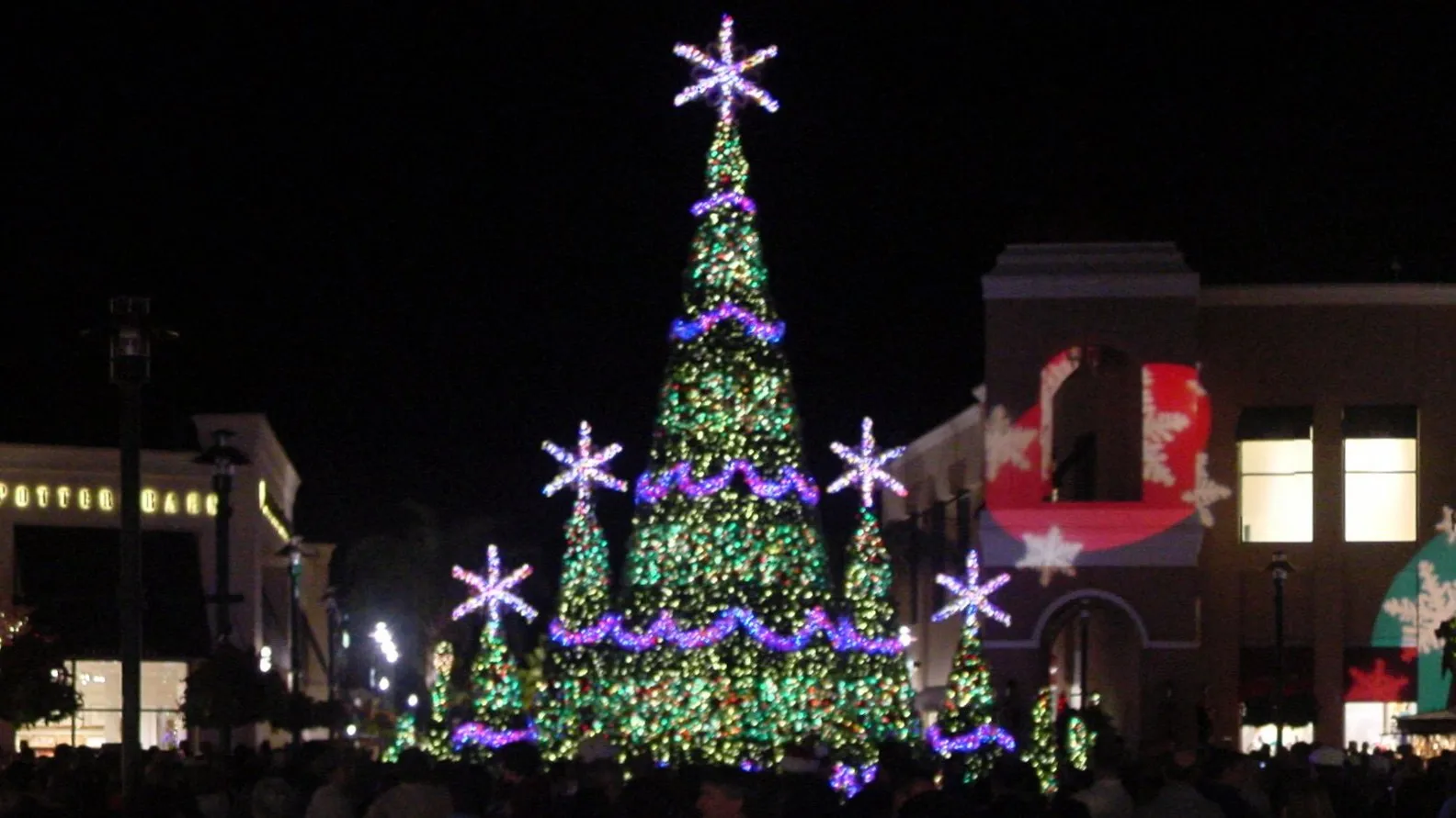 The Symphony in Lights Christmas tree in the main courtyard at The Shops at Wiregrass in Wesley Chapel
