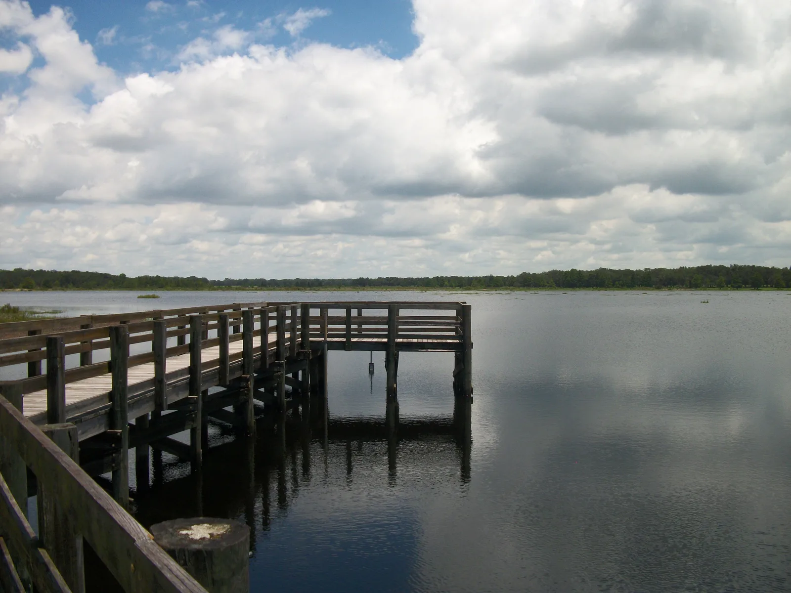 Crews Lake Wilderness Park in Pasco County after Tropical Storm Debby's rains in June 2012