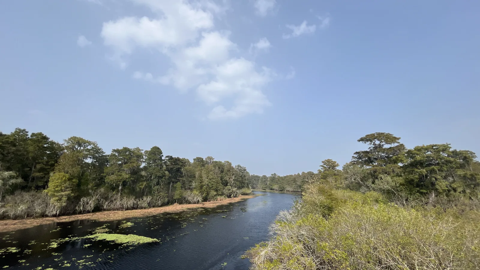 The Hillsborough River seen from the observation tower at Lettuce Lake Conservation Park, south of Wesley Chapel