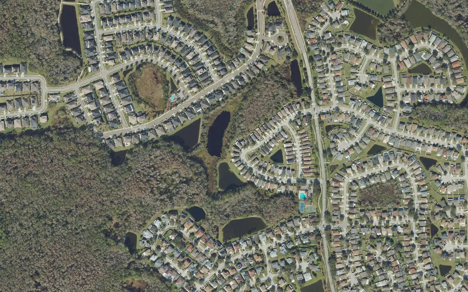 Streets of homes curving around ponds and wooded wetlands in Northwood, with a community pool at center, seen from above.