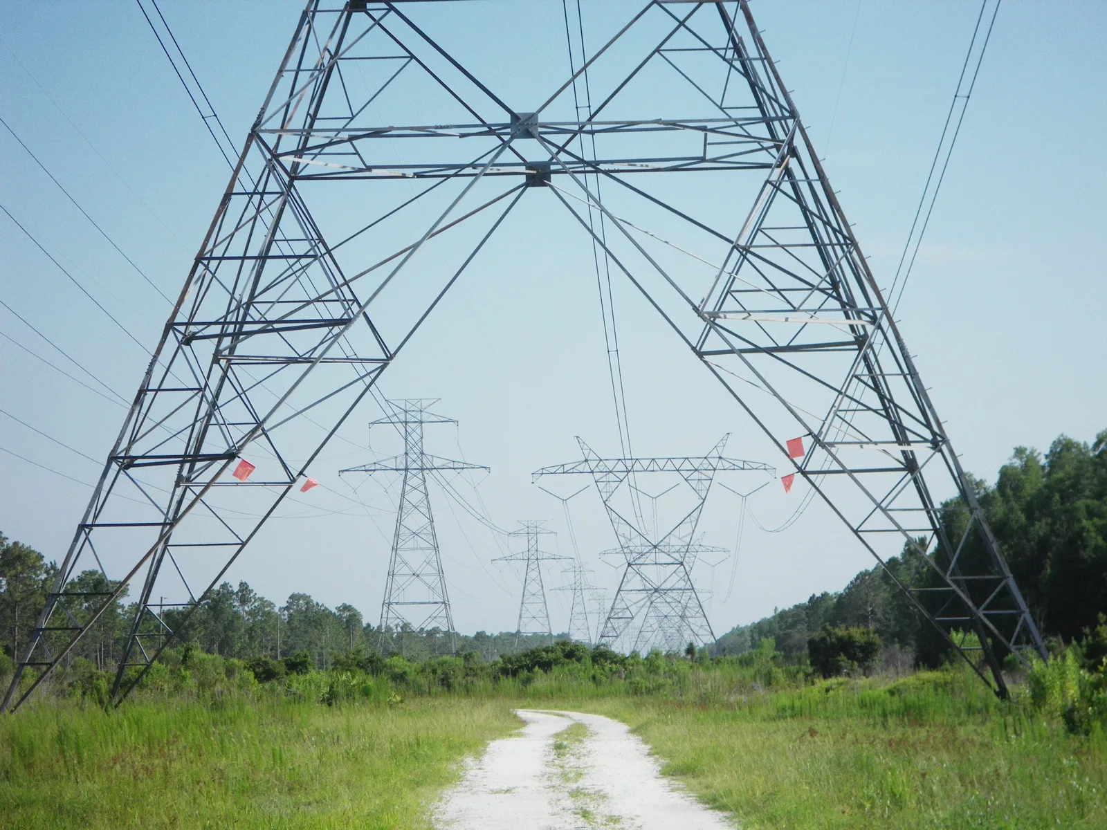 High-voltage transmission towers east of Moon Lake in Pasco County