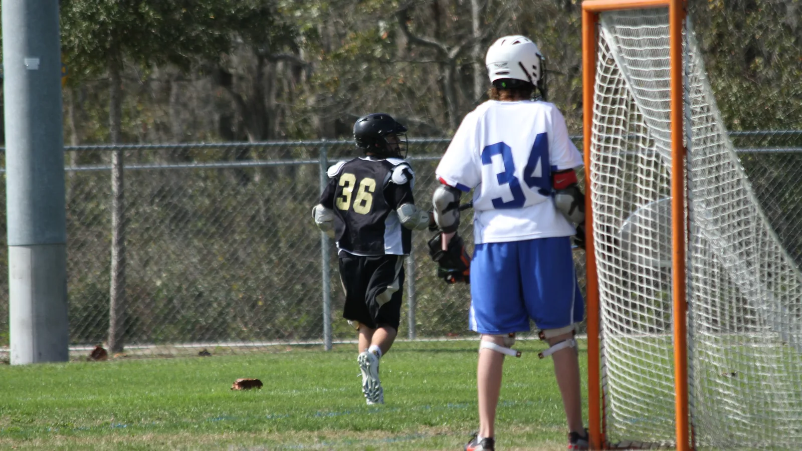 Youth lacrosse players by a goal at Wesley Chapel District Park, one of Pasco County's summer day camp sites